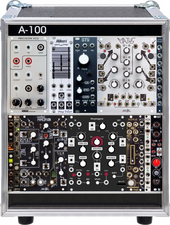 My phasmid Eurorack