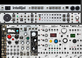 Intellijel 4u 62hp (palette case) Small Rig