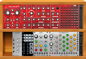My brambly Eurorack