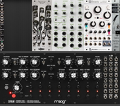 Moog case