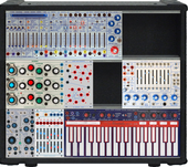 My hawklike Buchla