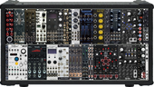 Erica synths case