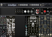 My fronded Eurorack