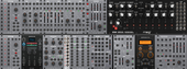 My capeskin Eurorack