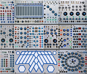 My peeling Buchla (copy)