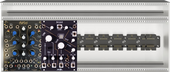 Mon Eurorack daisied