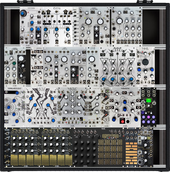 Lexi - 002 (copy)