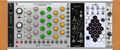dfam case