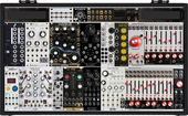 My fleshy Eurorack (copy)