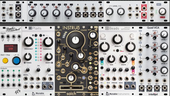 My veiny Eurorack