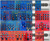 RedBlueBug