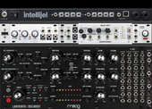 Intellijel 62 - Moog Labyrinth