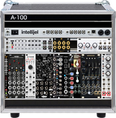Little Modular Case