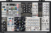 My branchlike Eurorack