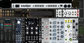 Intellijel palette 82 (3d-printed cheeks)