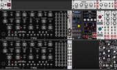 2025 Doube Moog DUO