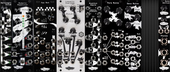 My whining Eurorack