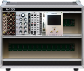 Video modules