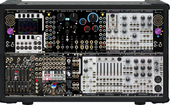111 - winterbloom 94hp intellijel 001 (copy)