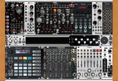 My nymphal Eurorack