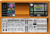 My haploid Eurorack
