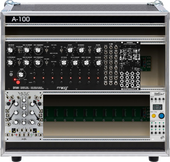 My raising Eurorack