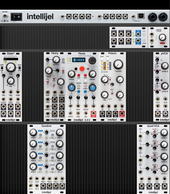 Intellijel Case