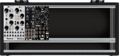 My scincoid Eurorack