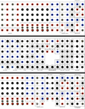 Serge (Sequence Single) (copy)