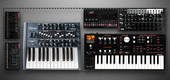 Temple Trio 43 Synths