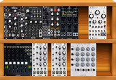 My serfish Eurorack