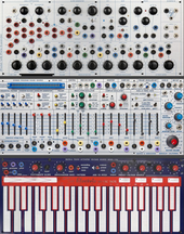 My fungal Buchla