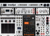 L&amp;M Intellijel Case
