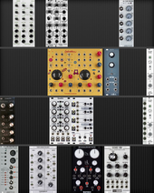 Mein coccal Eurorack