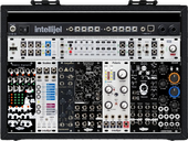 My thyrsoid Eurorack