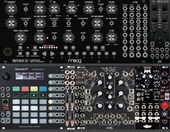 My tergal Eurorack
