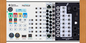 Interface (Cell 48)
