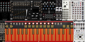 My scroggy Eurorack