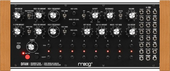 Moog case