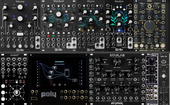 My goosy Eurorack