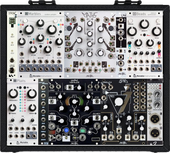 My crinoid Eurorack