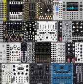 My velate Eurorack
