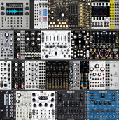 My velate Eurorack