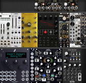 My zebrine Eurorack