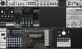 My conchate Eurorack