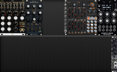 My rhinal Eurorack