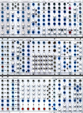Low Gain System