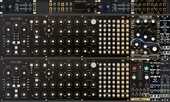 Black &amp; Gold Eurorack