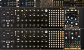 Black &amp; Gold Eurorack