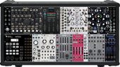 Erica compact 2 (copy)